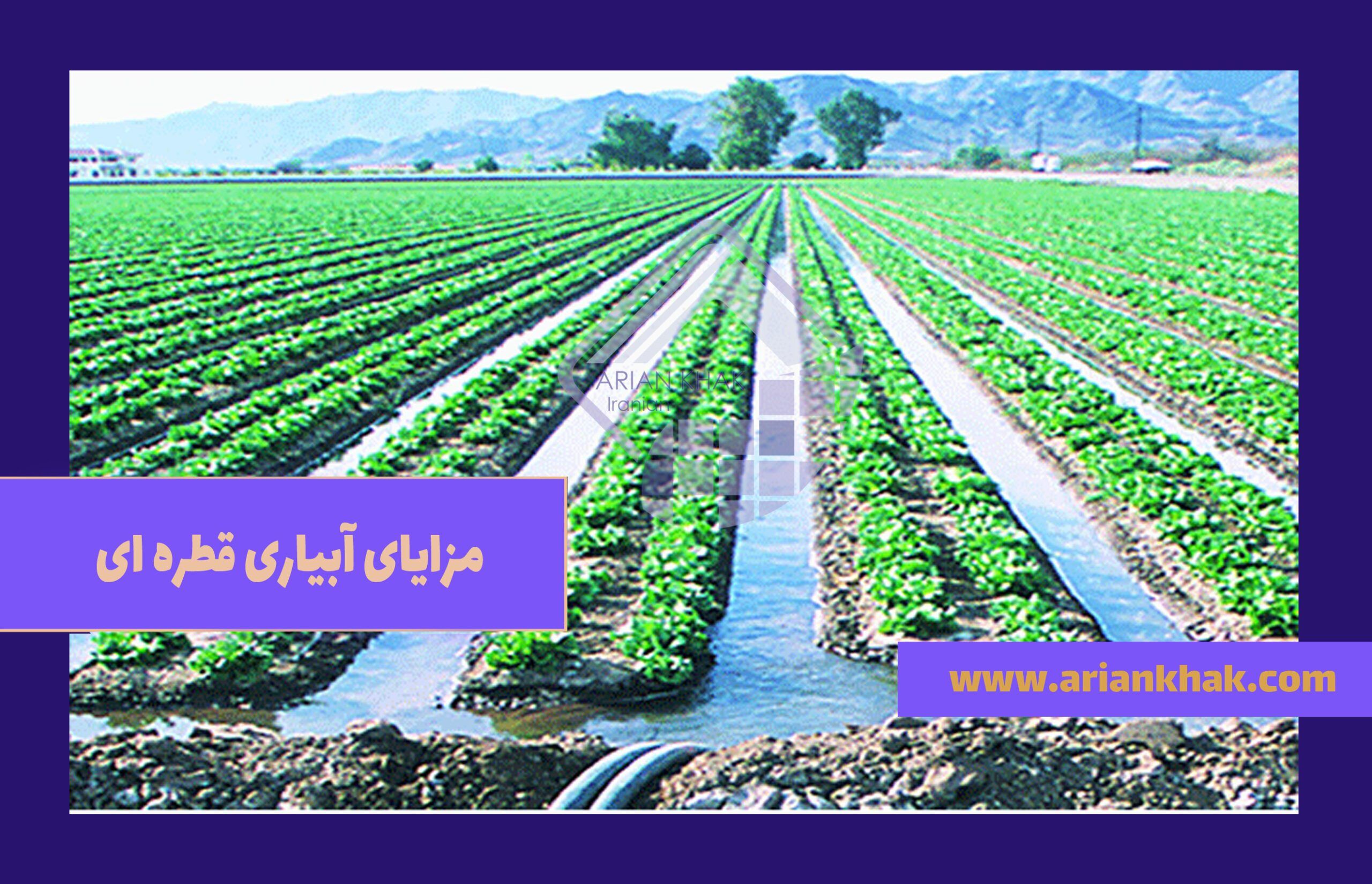 مزایای آبیاری قطره ای