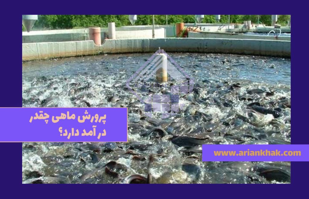 پرورش ماهی چقدر درامد دارد؟